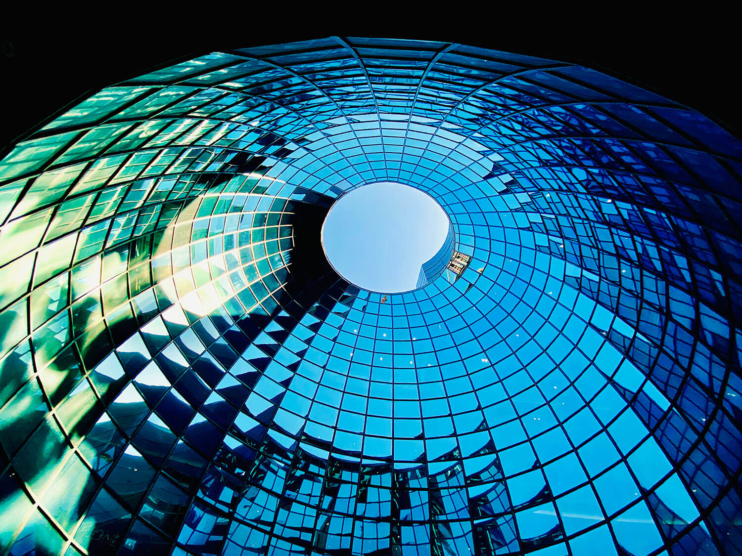 servizio di networking e piattaforme digitali